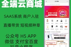 点大商城V2独立版源码SAAS部署小程序H5公众号uniapp可二开vue