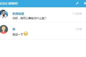 多国语言客服系统定制版PC/H5/APP